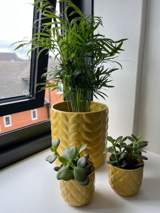No5 At 53 - 2 Bed Apartment In Leek, Staffs Peak District Εξωτερικό φωτογραφία
